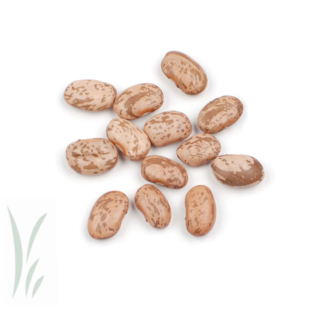Pinto Beans / 10 lb