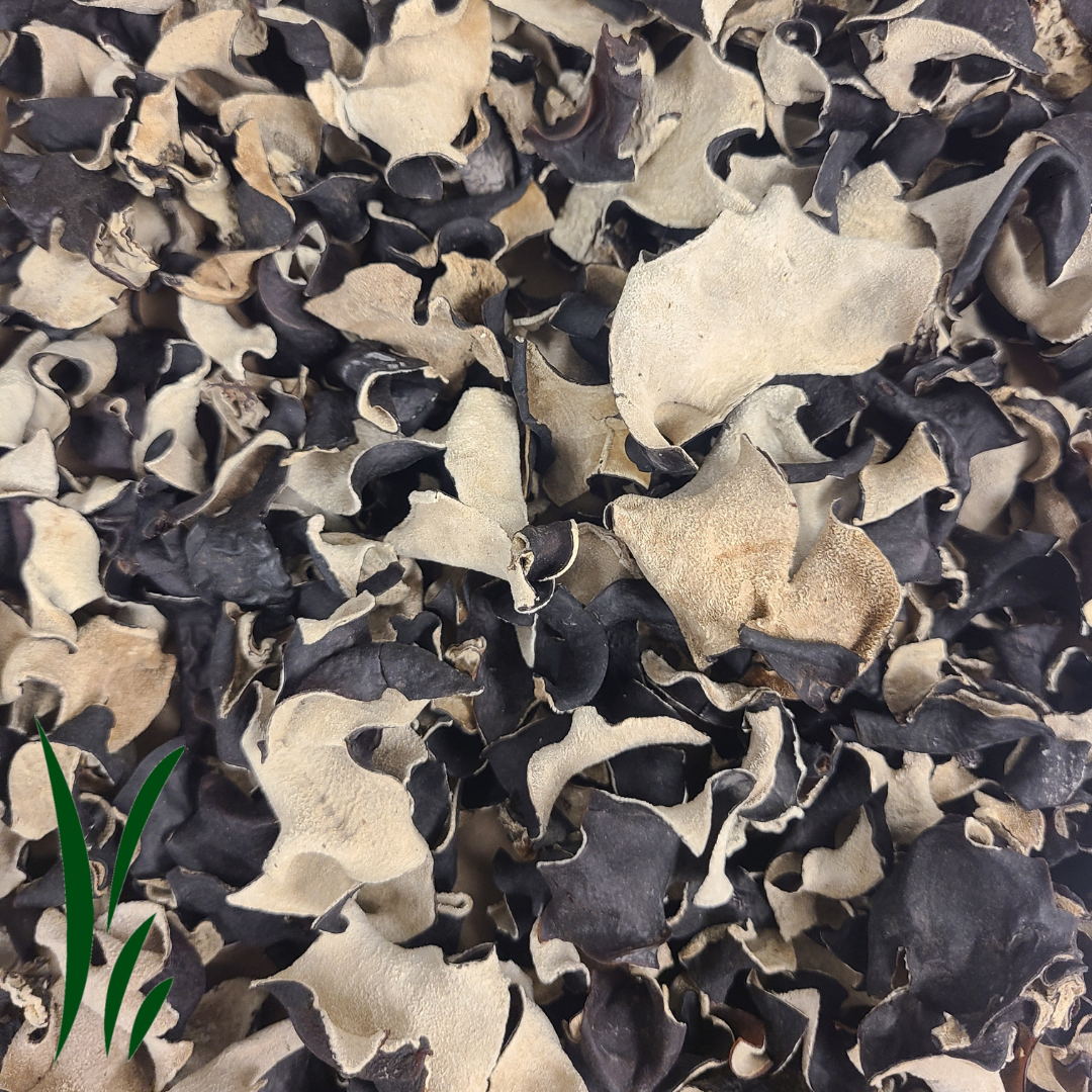 Woodear Mushroom, Dried / lb