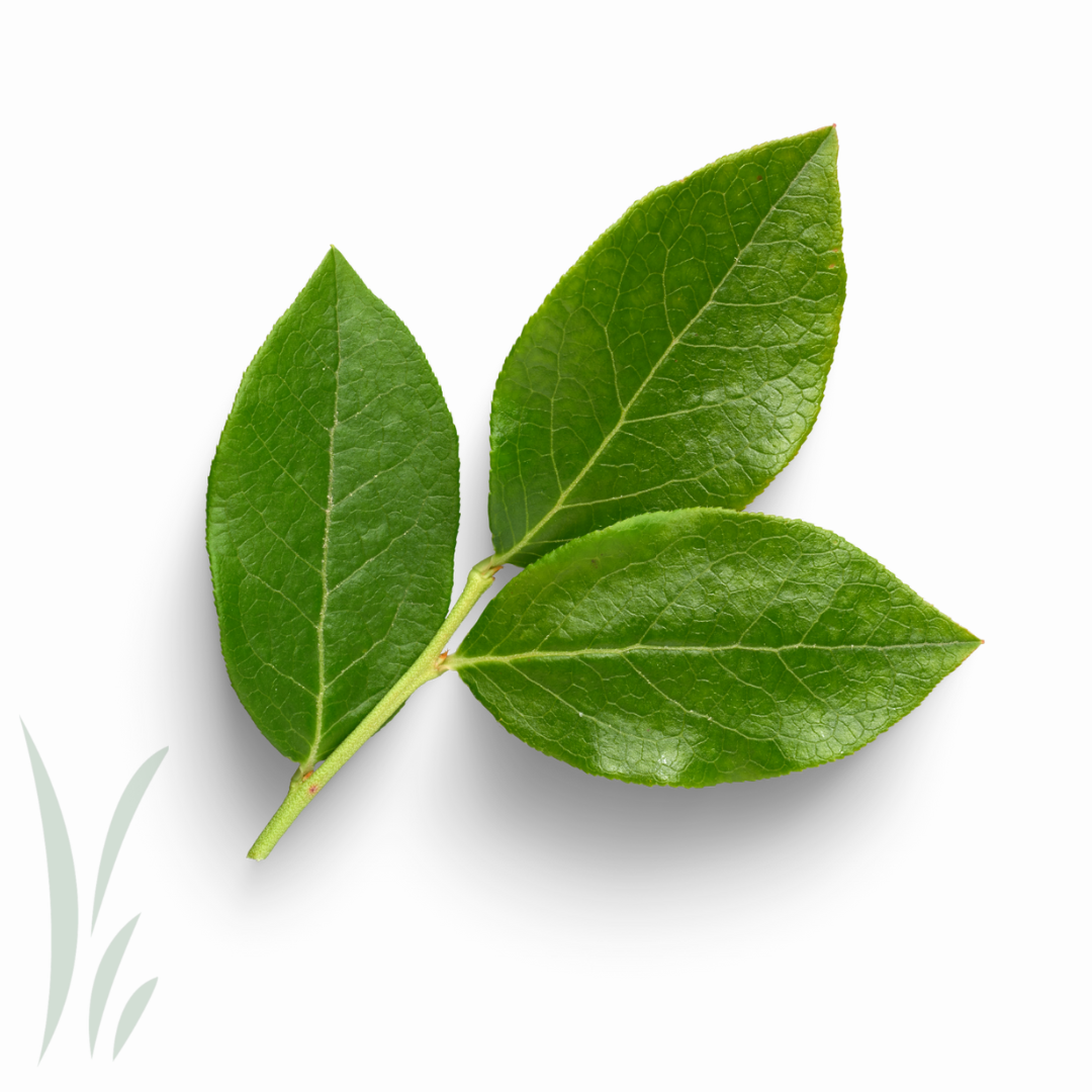 Bay Leaves / lb