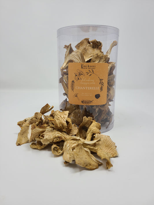 Dried Wild Chanterelle Mushrooms / 2oz