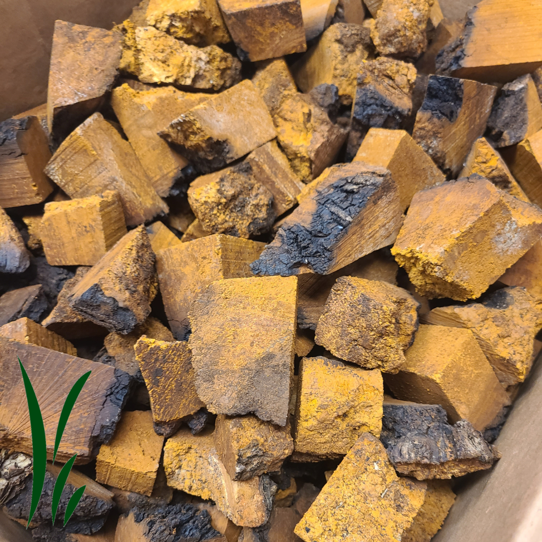Wild Chaga Mushroom, Dried Chunks / lb