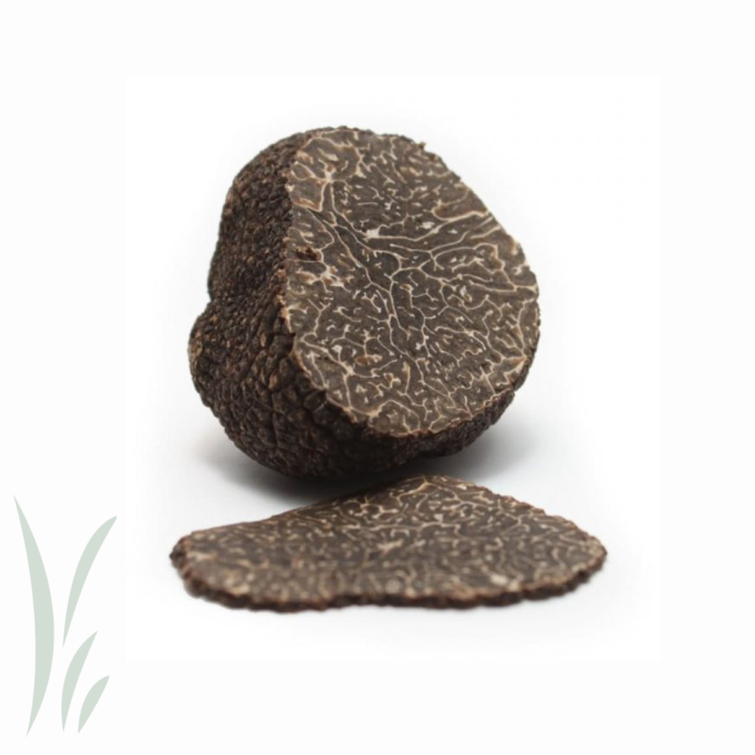 Fresh Black Winter Truffle / 30g