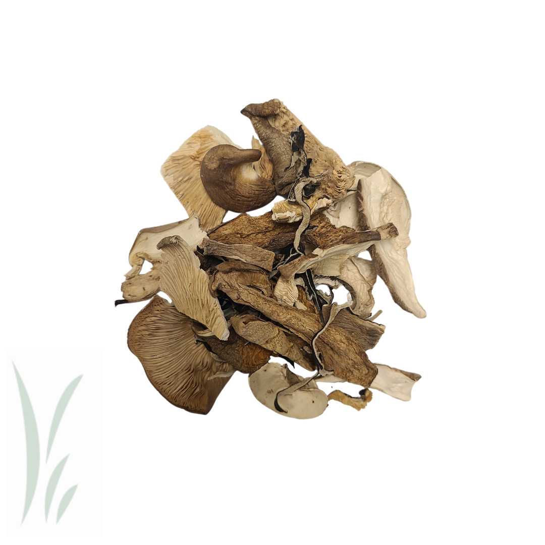 Mikuni's Dried Mushroom Alpine Mix / lb