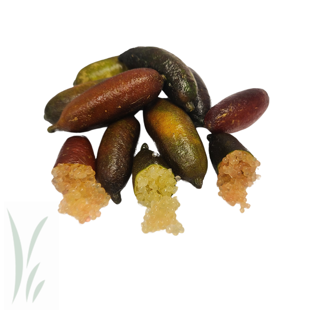Frozen Finger Limes, Mixed / lb