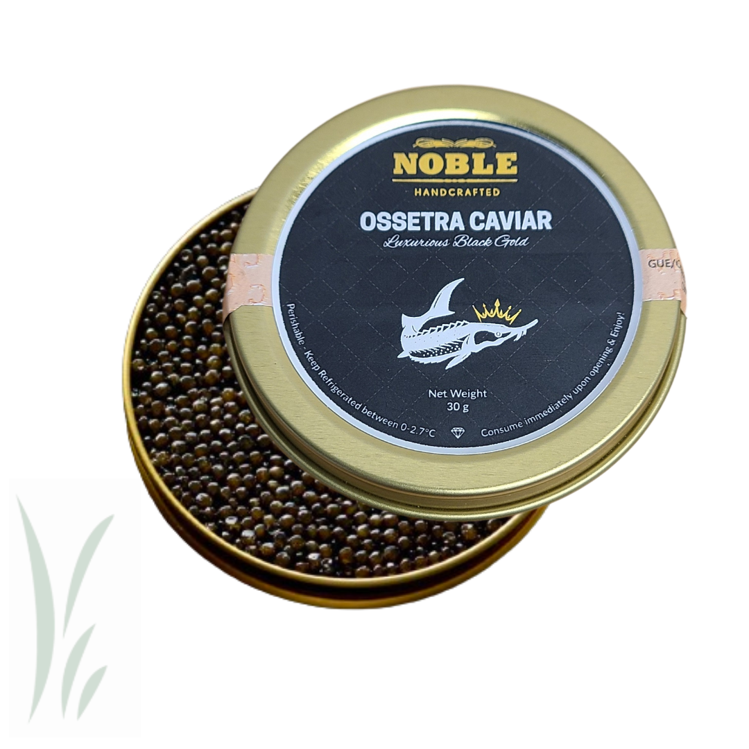 Ossetra Sturgeon Caviar, Noble Handcrafted / 30g