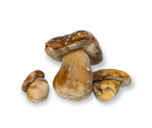 Wild Porcini Mushroom, Frozen / 1 kg