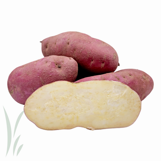 Japanese Sweet Potatoes / lb