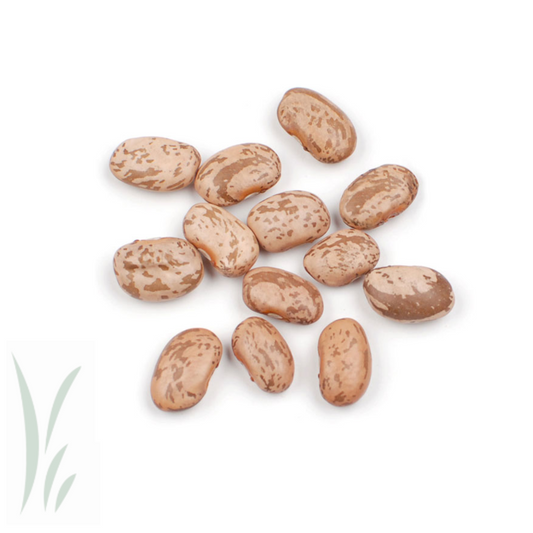 Pinto Beans / 10 lb