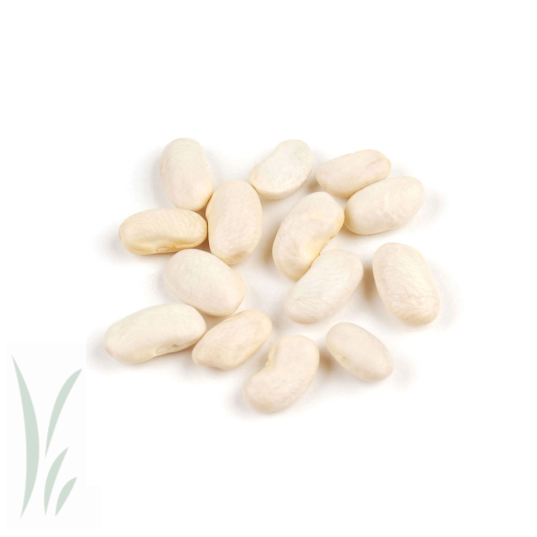 Cannellini Beans / 10 lb