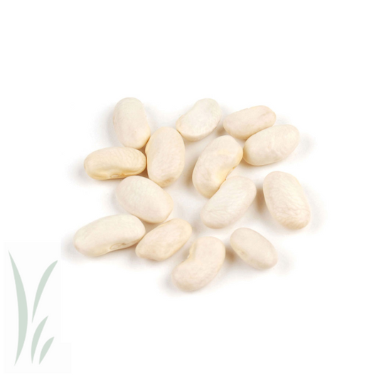 Cannellini Beans / 10 lb