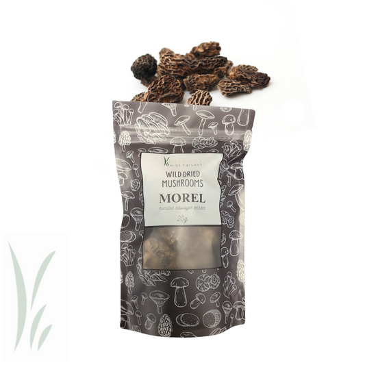 Dried Wild Morel Mushrooms / 20 g.