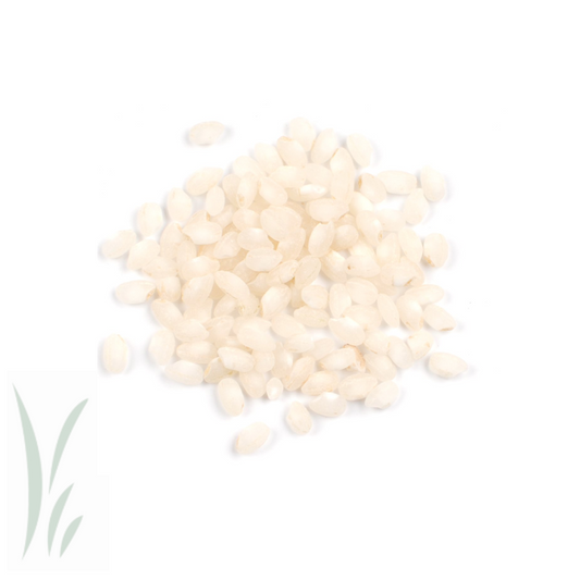 Bomba Valencia Rice / 10 lb