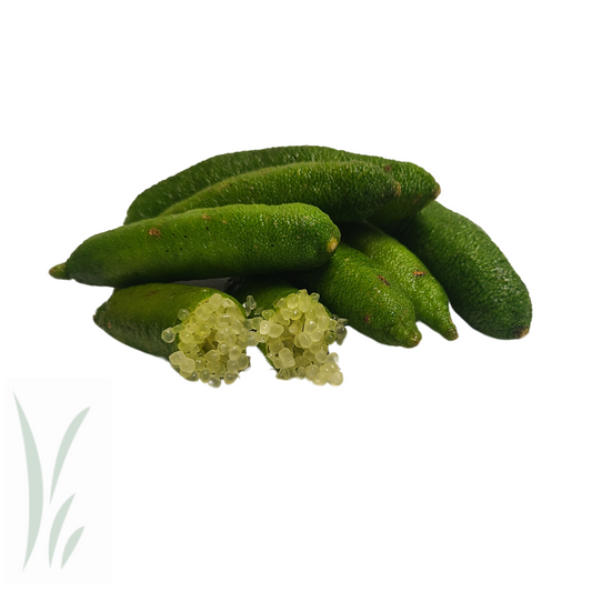 Frozen Finger Limes, Yellow / lb