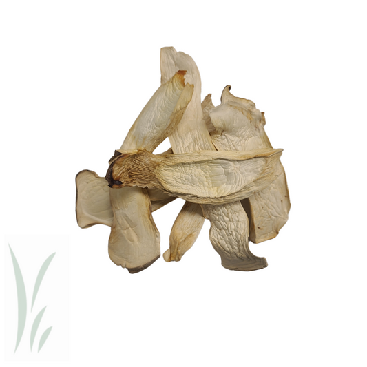 King Oyster, Sliced, Dried / lb