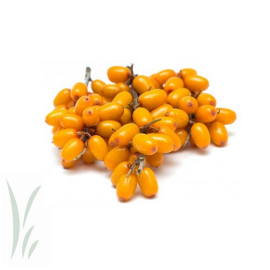 Sea Buckthorn Berries, Frozen / lb