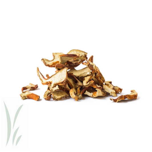 Dried Wild Lobster Mushroom / lb