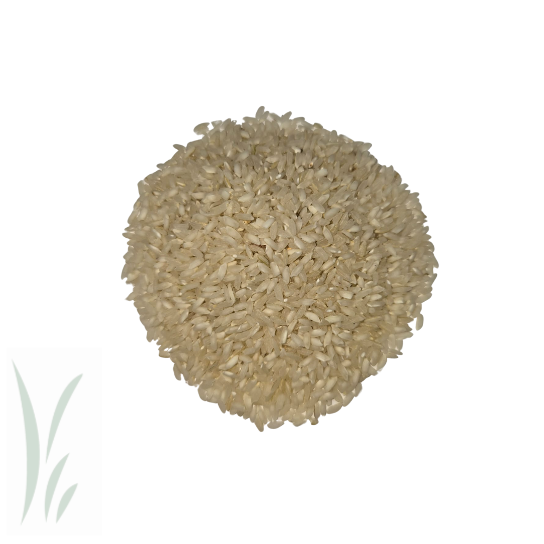 Carolina Gold Rice / lb – Mikuni Canada
