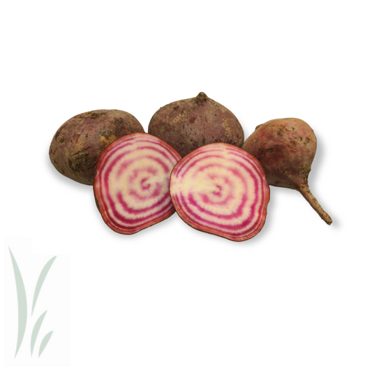 Candy Cane Beets / lb