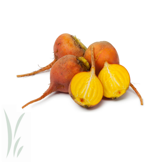 Gold Beets / lb
