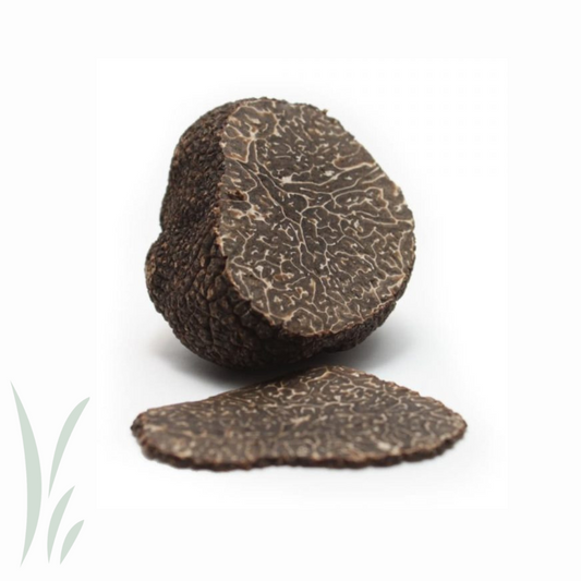 Fresh Black Winter Truffle / 30g