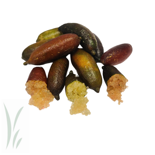 Frozen Finger Limes, Mixed / lb