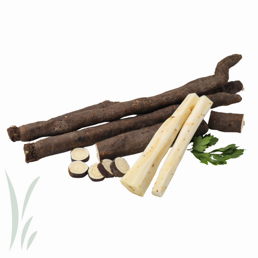 Salsify Root / kg