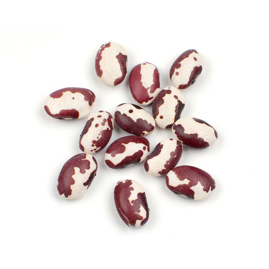 Anasazi Beans / 10 lb