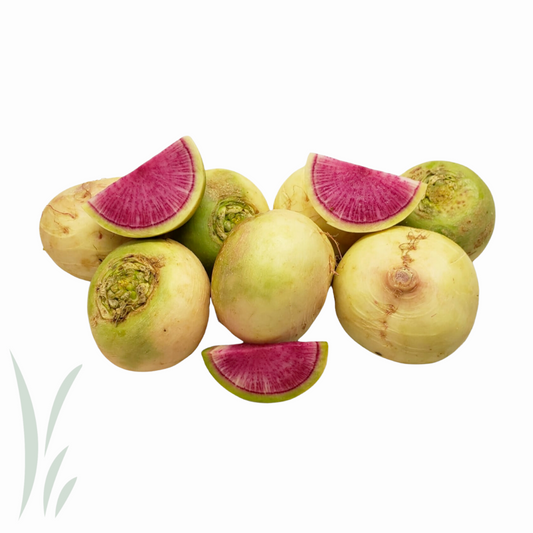 Watermelon Radish / lb.