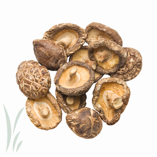Shiitake Mushroom, Whole Dried / lb