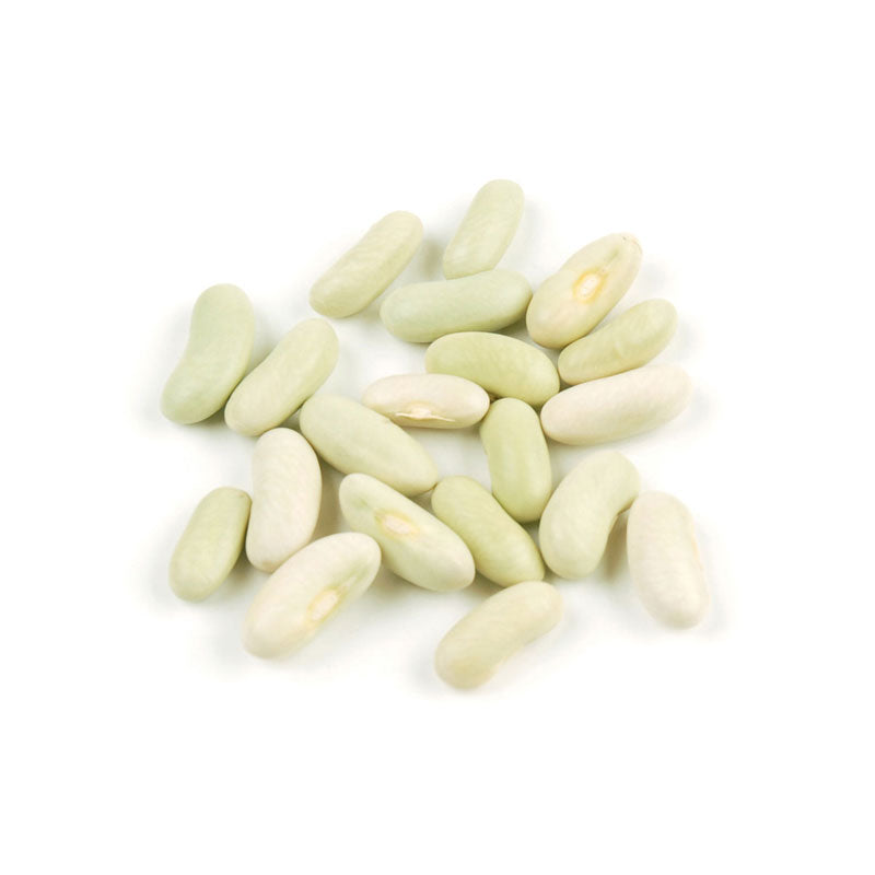 Flageolet Beans / 10 lb