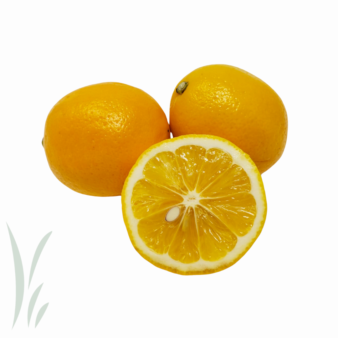 Meyer Lemons  / lb